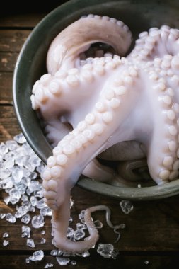 Ahtapot buz üstünde