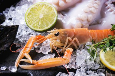 Kerevitleri ve ahtapot buz üstünde