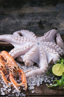 Kerevitleri ve ahtapot