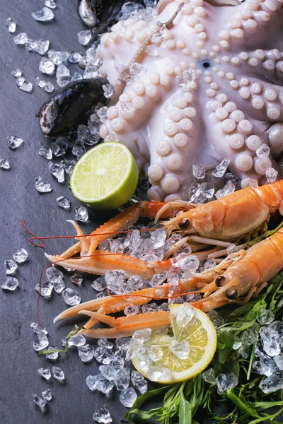 Langoustines y pulpo sobre hielo — Foto de Stock