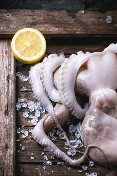 Octopus on ice — Stock Photo, Image