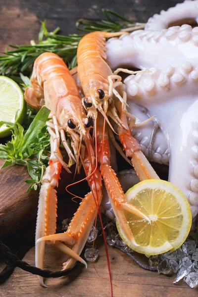 Langoustines and octopus — Stock Photo, Image