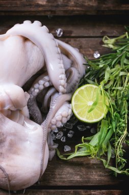 Ahtapot buz üstünde