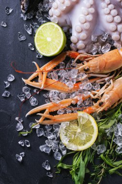 Kerevitleri ve ahtapot buz üstünde