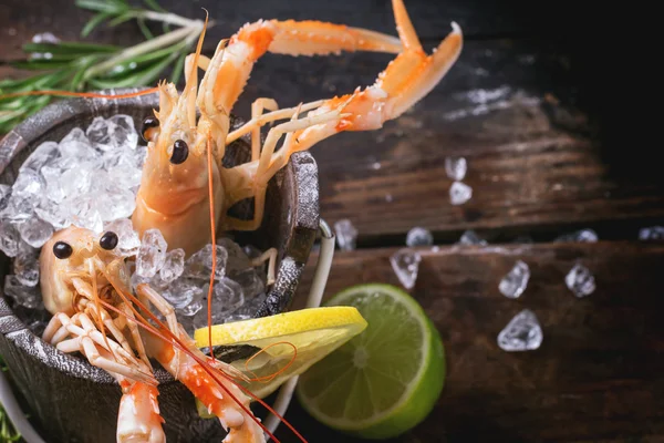 Langoustines on ice — Stock Photo, Image