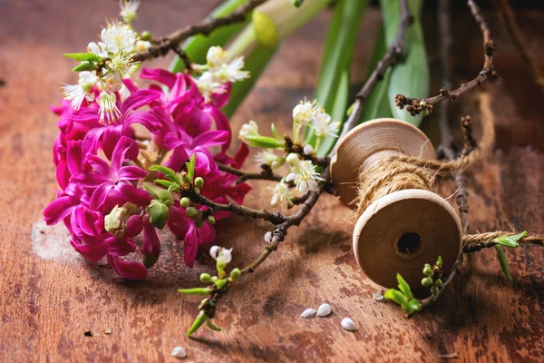 Rama de flores — Foto de Stock