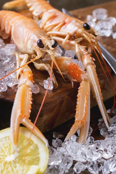 Langoustines on ice — Stock Photo, Image