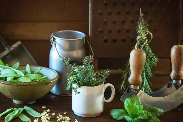 Kräuter und junge Erbsen — Stockfoto