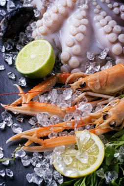 Kerevitleri ve ahtapot buz üstünde