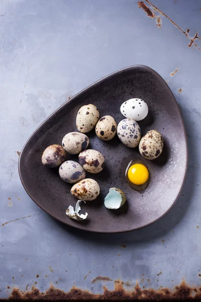 Quail eggs — Stock Photo, Image