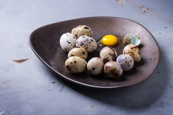 Quail eggs — Stock Photo, Image