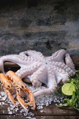 Kerevitleri ve ahtapot