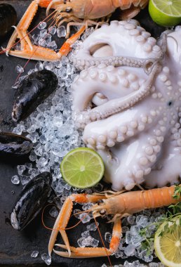 Kerevitleri ve ahtapot buz üstünde