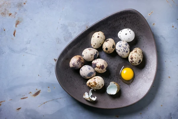 Quail eggs — Stock Photo, Image