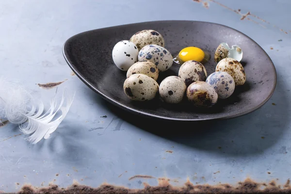 Quail eggs — Stock Photo, Image