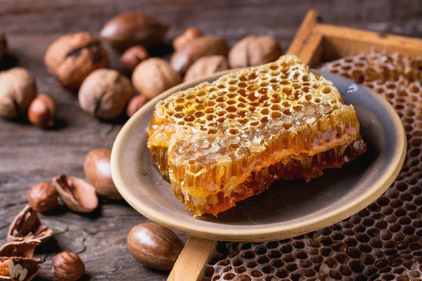 Honeycomb och nötter — Stockfoto