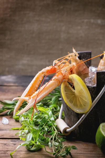 Langoustines on ice — Stock Photo, Image