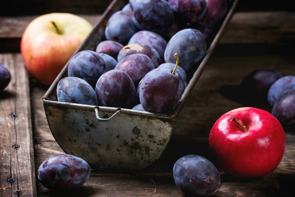 Plums and apples — Stock Photo, Image