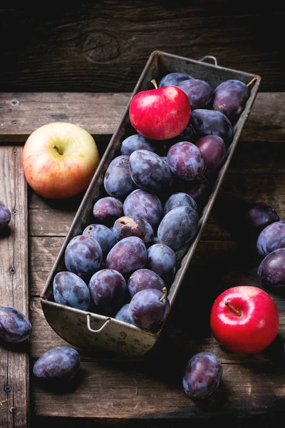 Plums and apples — Stock Photo, Image