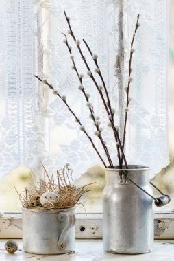 Willow ve bıldırcın yumurtası