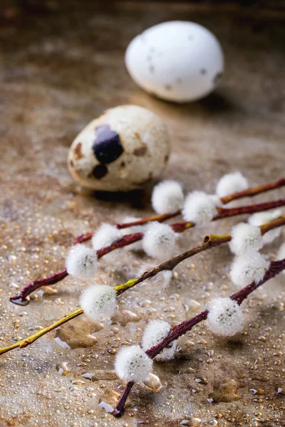 Willow and quail eggs — Stock Photo, Image