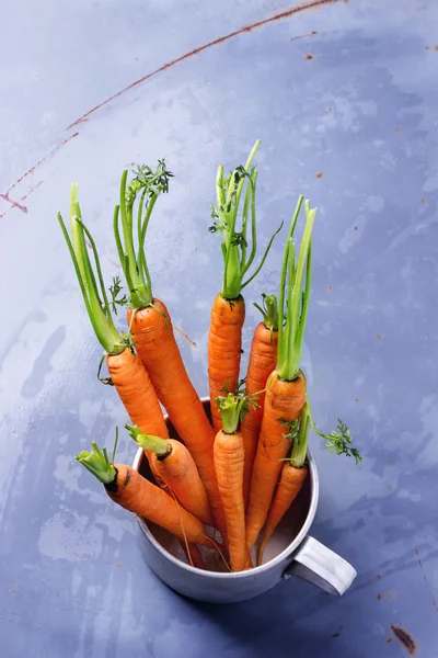 Bundle of carrots — Stock Photo, Image