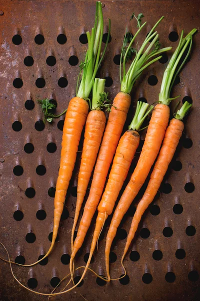 Bundle of carrots — Stock Photo, Image