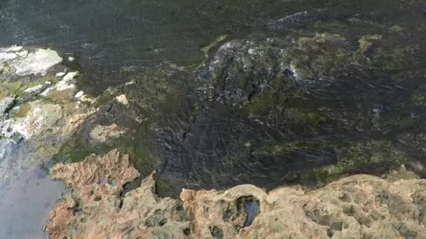 Río arroyo con rocas — Vídeos de Stock