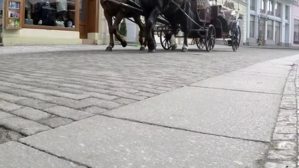 Лошадь тянет карету по тротуару старого города, замедленная съемка — стоковое видео
