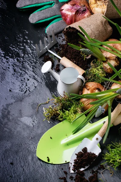 Garden tools and flower bulbs — Stock Photo, Image