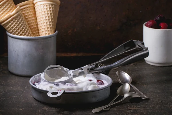 Ice cream with berries — Stock Photo, Image