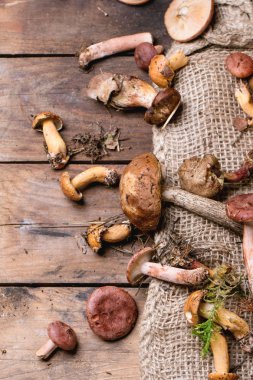 Orman mantar karışımı