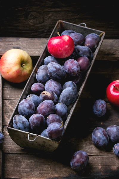 Plums and apples — Stock Photo, Image