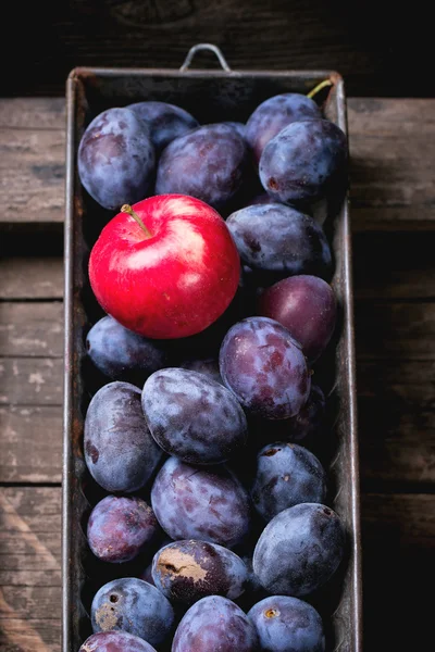 Prune și mere — Fotografie, imagine de stoc