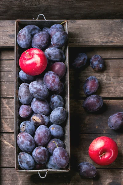 Ciruelas y manzanas — Foto de Stock