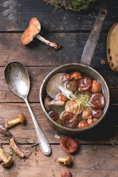 Mushrooms soup — Stock Image Mushrooms soup Stock Image