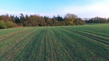 Yeşil Alanın Üzerinde Uçmak