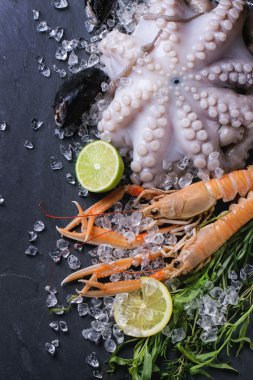 Kerevitleri ve ahtapot buz üstünde