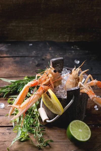 Langoustines on ice — Stock Photo, Image