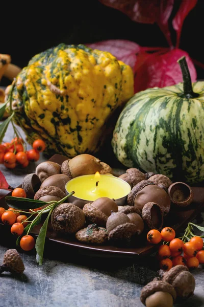 Pumpkins, nuts and candle — Stock Photo, Image