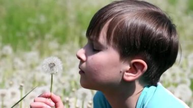 Küçük çocuk güneşli günde karahindiba üzerinde üfleme