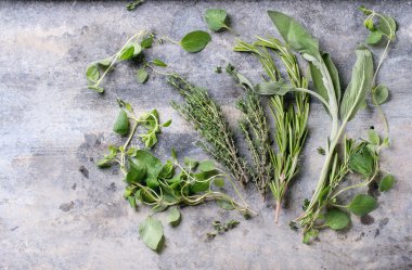 Taze otlar ürün yelpazesine