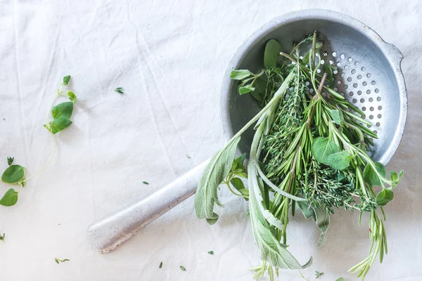 Assortment of fresh herbs — Stock Photo, Image