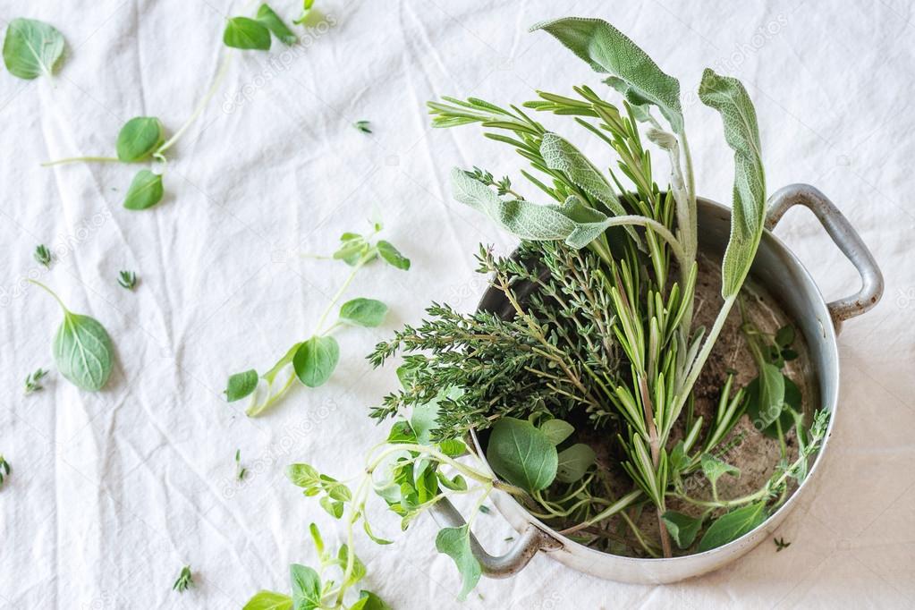 Assortment of fresh herbs