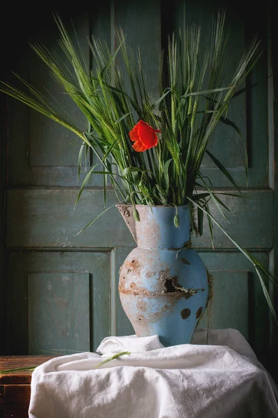 Barley and poppy — Stock Photo, Image