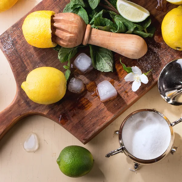 Lemons, limes and mint — Stock fotografie