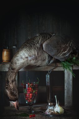 Still life with greylag