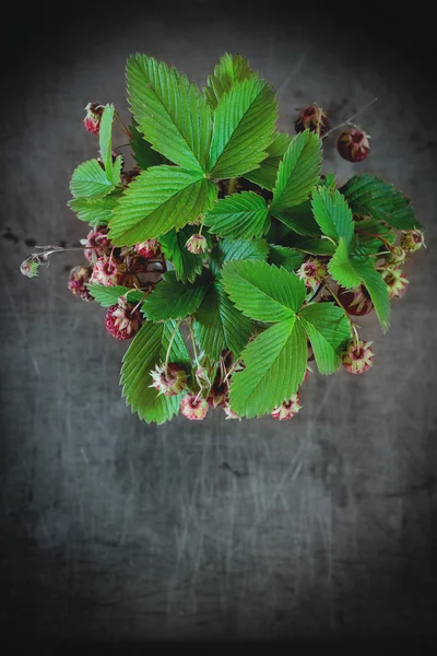 Bunch of strawberries — Stock Photo, Image