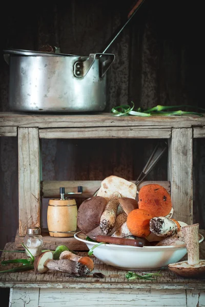 Forest mushrooms — Stock Photo, Image