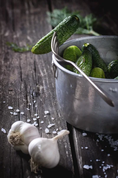 Preparation of low-salt pickled cucumbers — Stock Image Preparation of low-salt pickled cucumbers Stock Photo